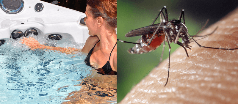 hot tub abd mosquitos