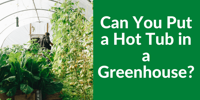 hot tubs in greenhouses